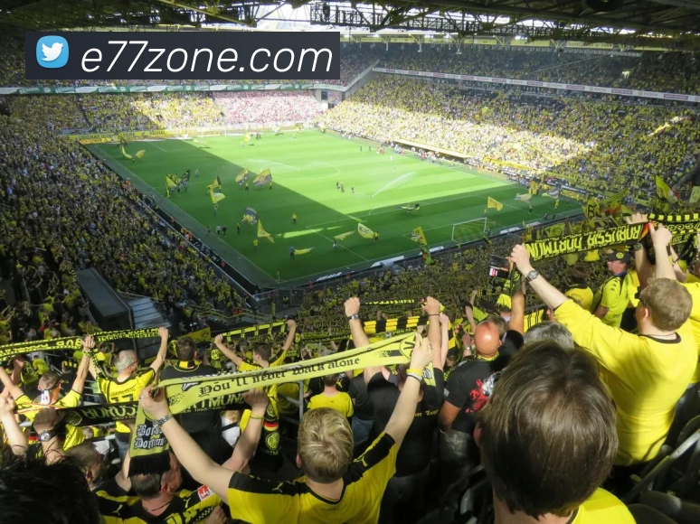 E扑克77官网APP 封面图